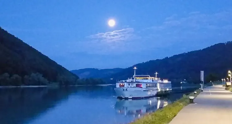 Donau Landschaft MS Normandie