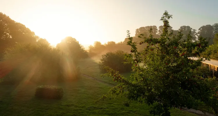 Guten Morgen Groß Schwansee