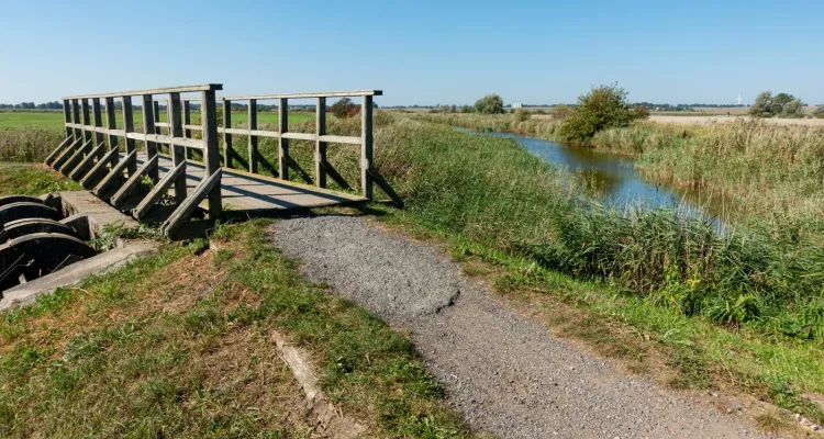 Radweg Zwischen Barth und Stralsund