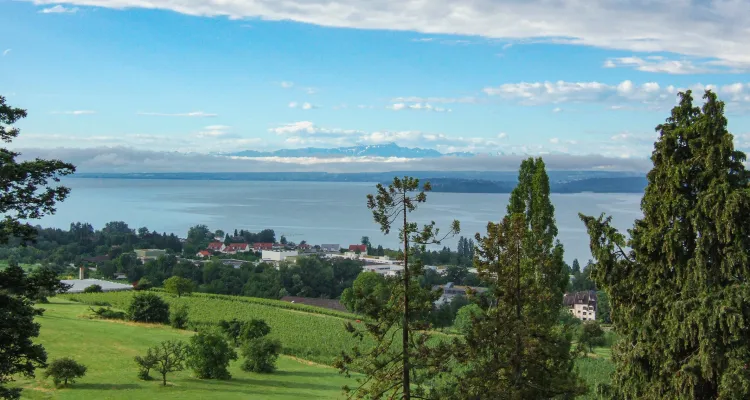 Ausblick auf den Bodensee, Alpenblick