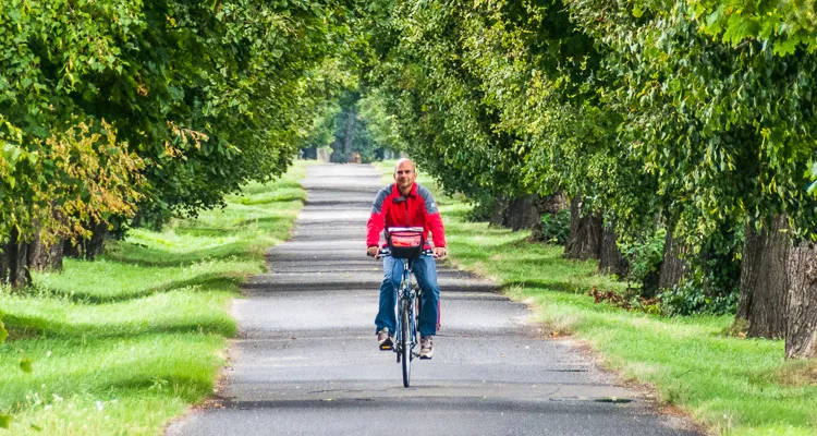 Elbe-Radweg, Tschechien, Radfahrer