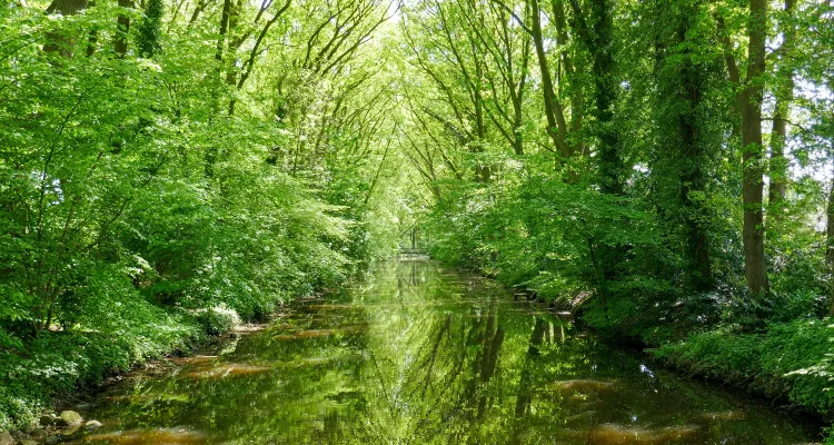 Flussverlauf Hase-Ems Radweg