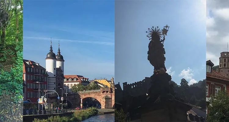 Impressionen vom Neckartal-Radweg