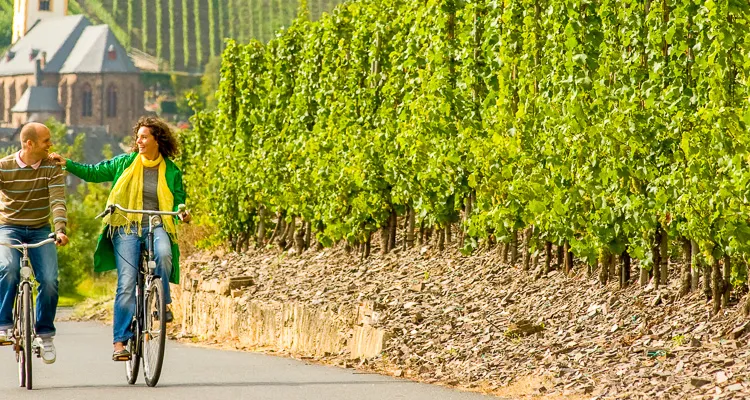 Radfahrer auf dem Mosel-Radweg