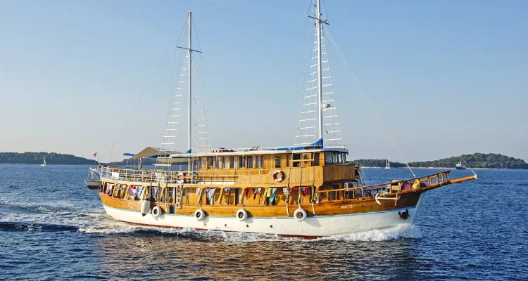 MS Aneta