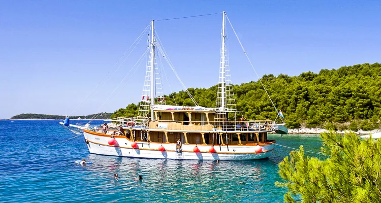 MS Dalmatino