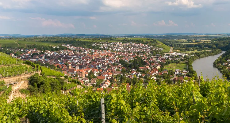 Neckar-Radweg, Mundelsheim