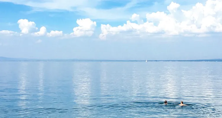 schwimmen im See