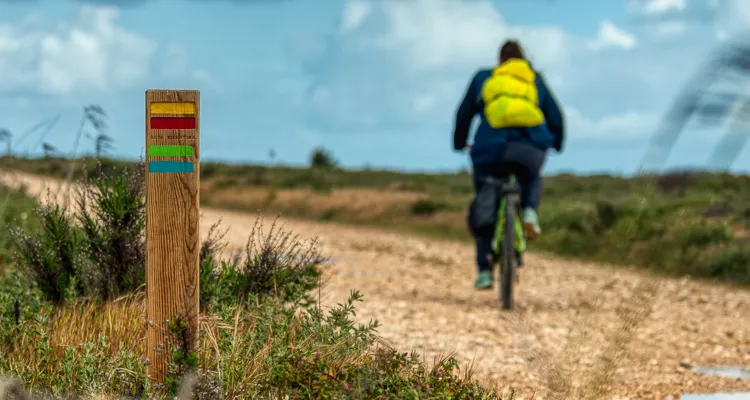 Auf der Rota Vicentina