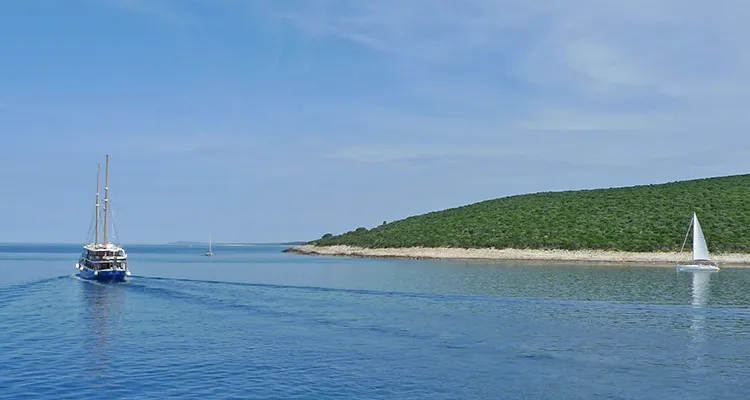 Ausblick vom Schiff