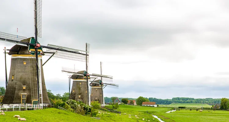 Windmühlen bei Delft