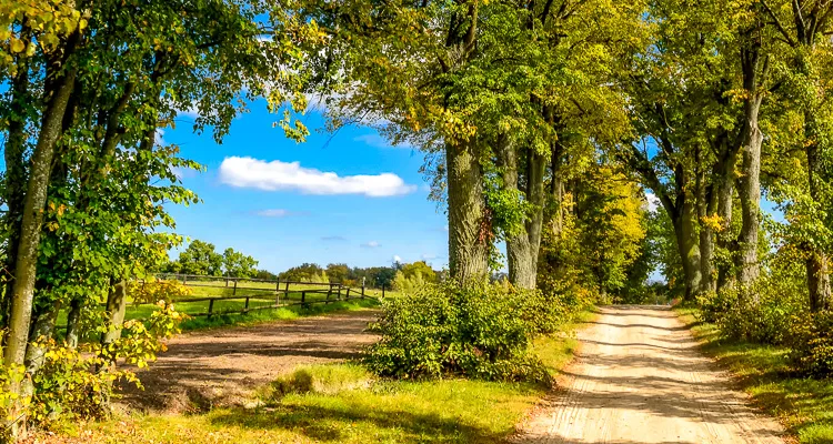 Radreisen in Tschechien, Polen und Litauen