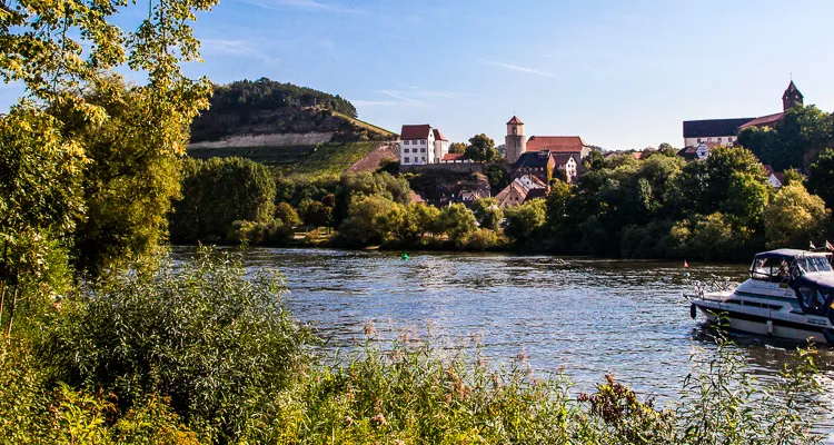 Radreisen am Main - Panorama