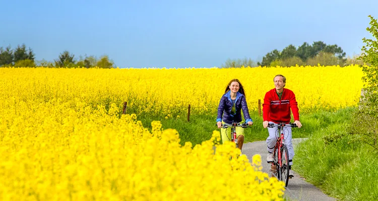 Radreisen in Niedersachsen und Nordrhein-Westfalen