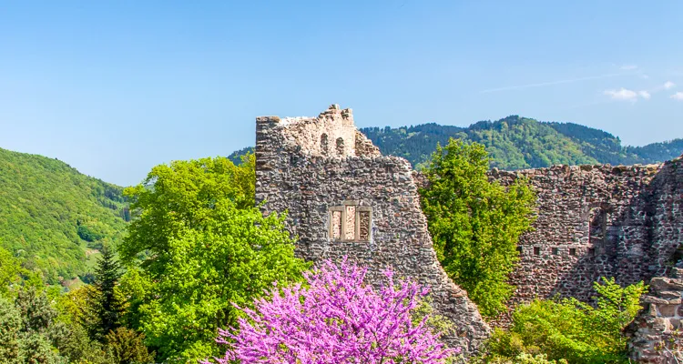 Radreisen im Schwarzwald: Burg Baden in Badenweiler