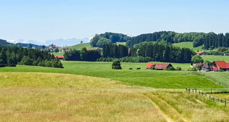 Panorama Richtung Wangen im Allgäu