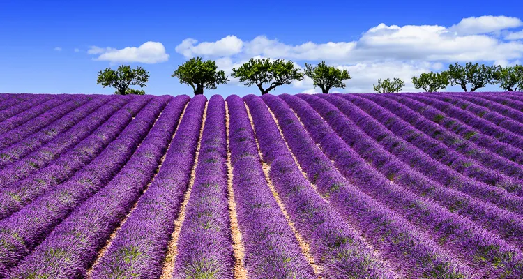 Rhone-Radweg, Provence