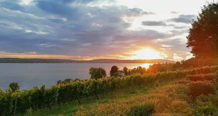 Sonnenuntergang am Bodensee