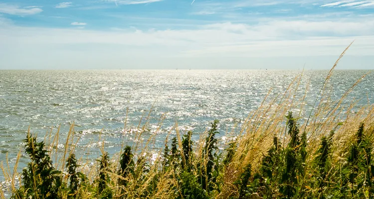 Strand am IJsselmeer