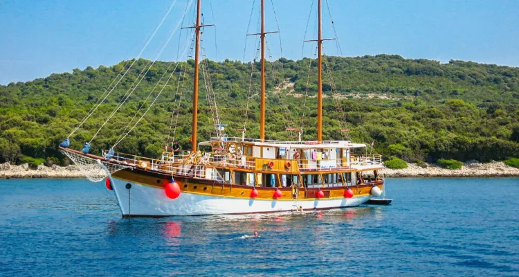 MS Sveti Vid