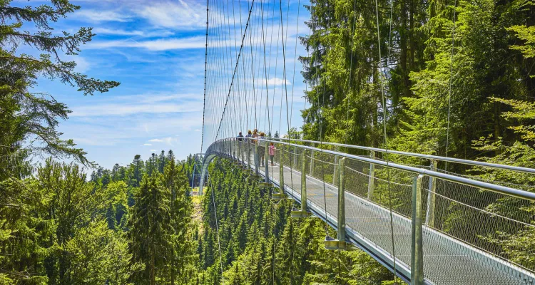 Radreisen im Schwarzwald: Baumwipfelpfad Bad Wildbad