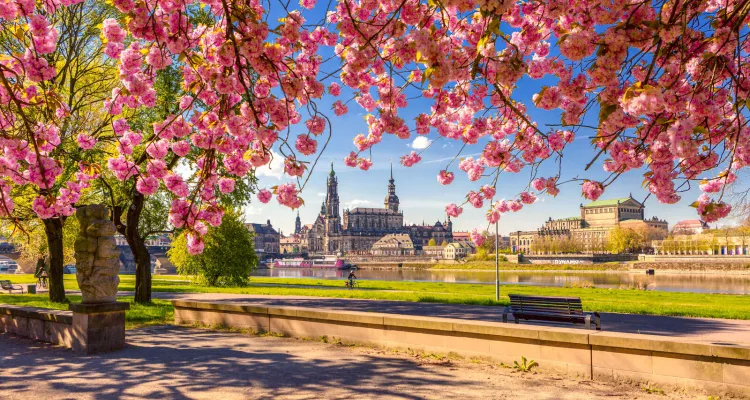 Dresden
