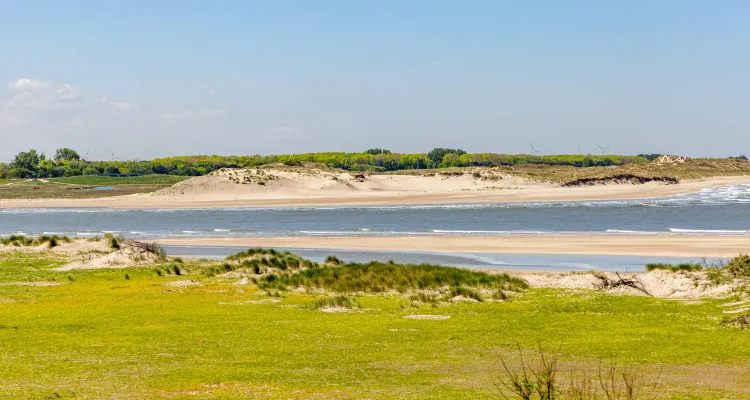 Naturschutzgebiet Het Zwin