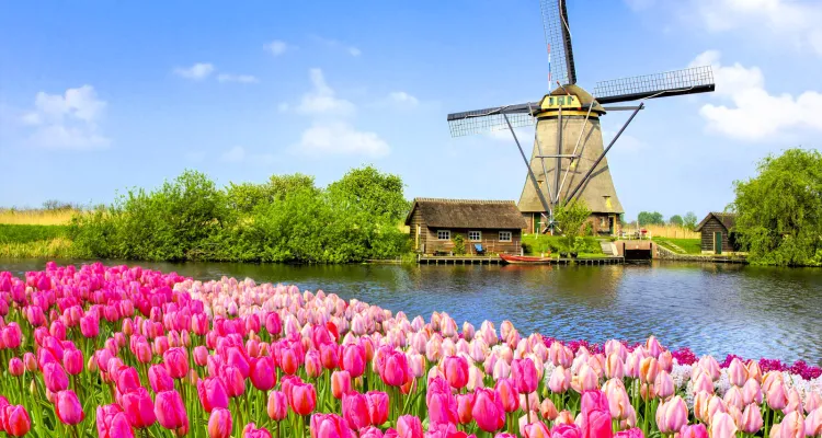 Mit Rad und Schiff zur Tulpenblüte