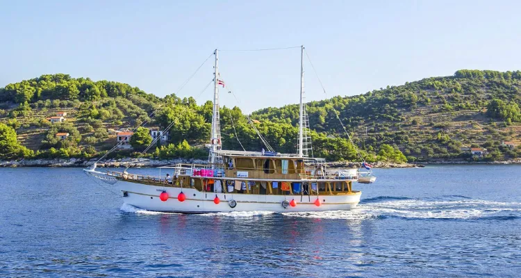 MS Dalmatino
