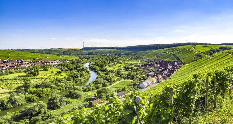 Volkach Mainschleife