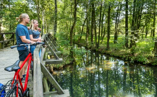 Der Gurken-Radweg im Spreewald