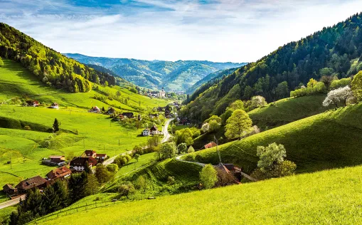 Der Schwarzwald-Panorama-Radweg