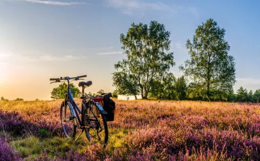 Fahrrad Lüneburger Heide