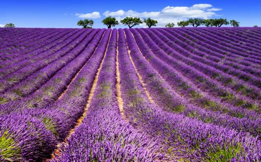 Radtour durch die Provence