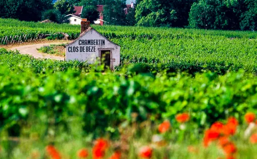 Radtour durch das Burgund