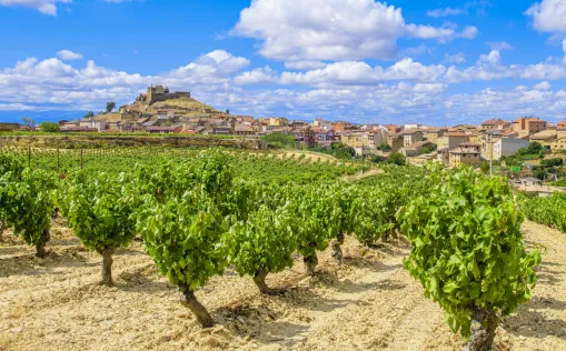 Radtour durch La Rioja