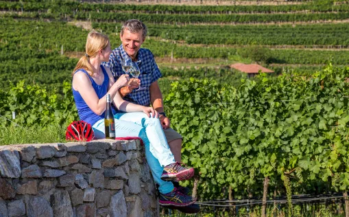 Radtour in der Wachau