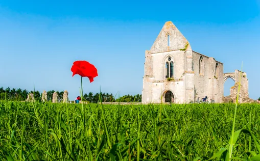 Radtour von Cognac nach La Rochelle am Atlantik