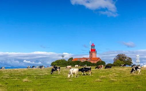 Radurlaub an der Ostsee von Flensburg bis nach Usedom