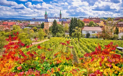 Bamberg, Weinberg, Stadt von oben