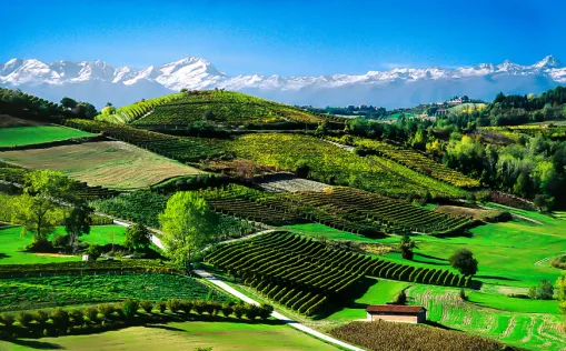 Stern-Radtour im Piemont