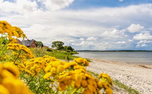 Bandholm Strand