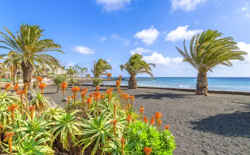 Strand von Costa Teguise