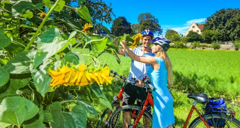 Die sportliche Neckar Radtour