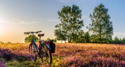 Fahrrad Lüneburger Heide