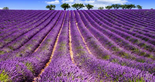 Radtour durch die Provence