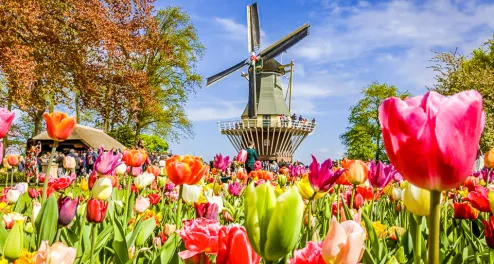 Mit Rad und Schiff zur Tulpenblüte