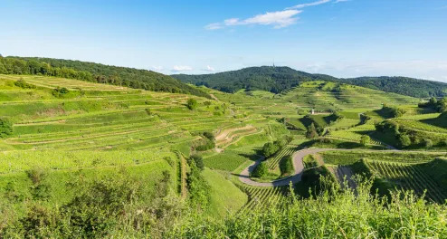 Radtour um den Kaiserstuhl