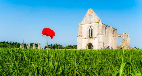 Radtour von Cognac nach La Rochelle am Atlantik
