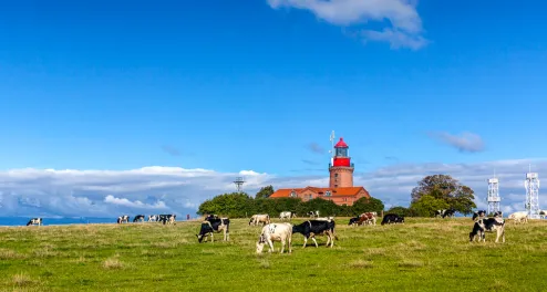 Radurlaub an der Ostsee von Flensburg bis nach Usedom